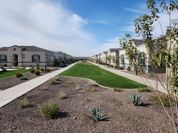 Outdoor green/open areas